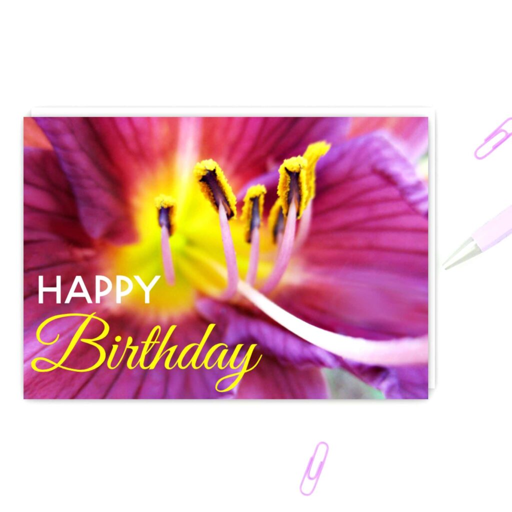 Cover image for Happy Birthday Cards showing a purple lily birthday card made by Cranky Bee Art