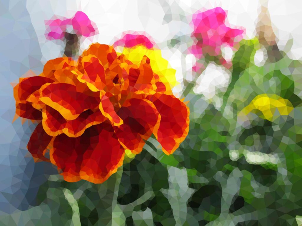 A photo of a blurry geranium turned into poly art