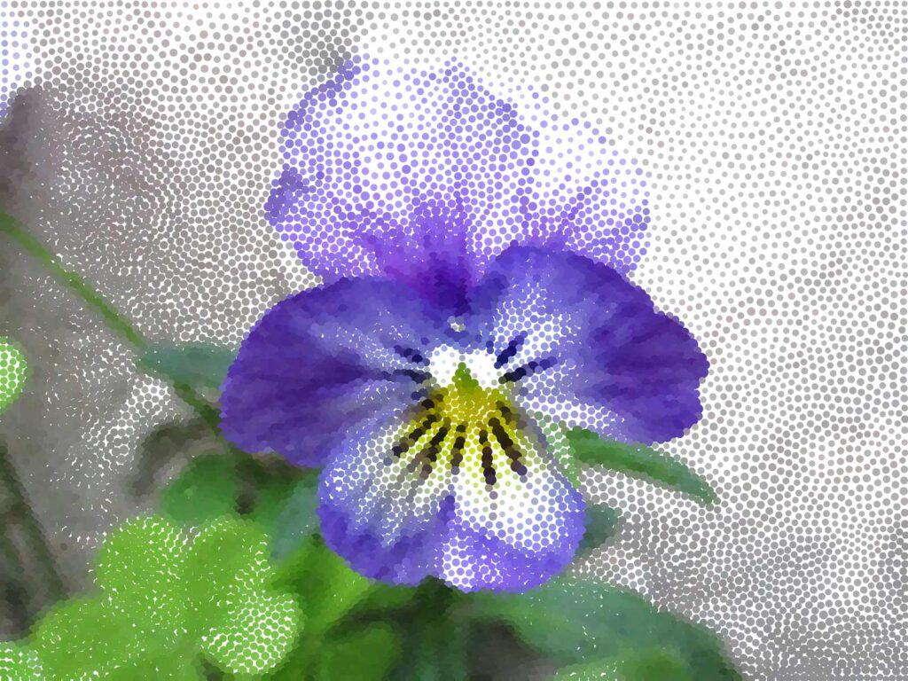 A photo of a pansy with stippling effects applied