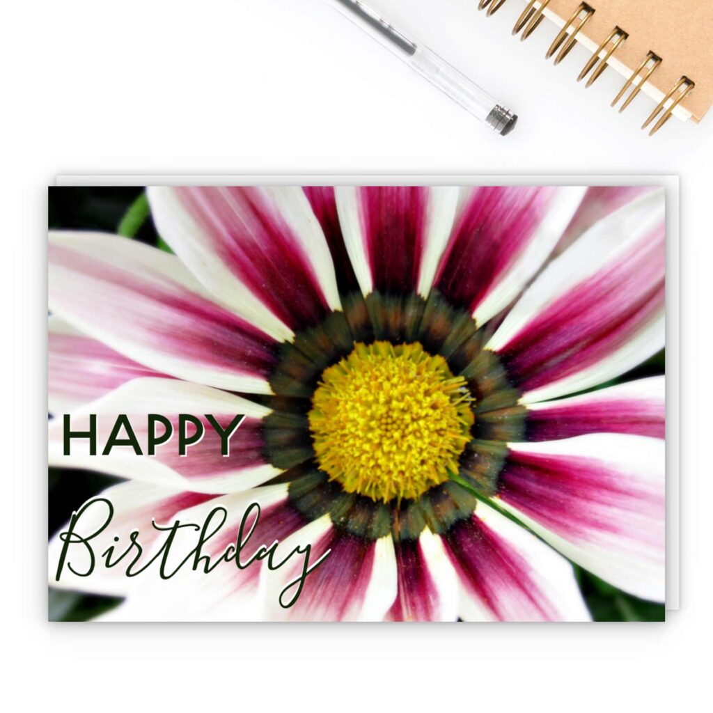 Cover image for Happy Birthday Cards made by Cranky Bee Art