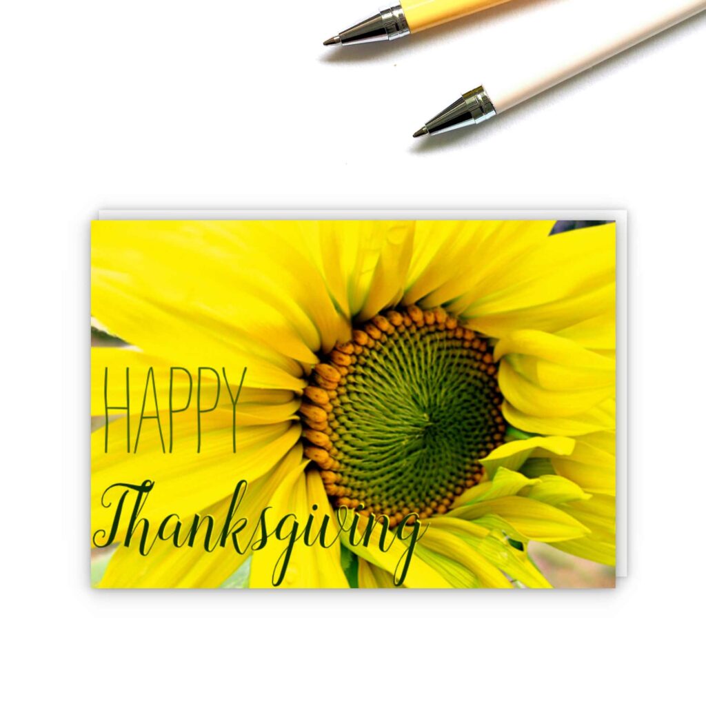 Cover image for Thank You Cards made by Cranky Bee Art