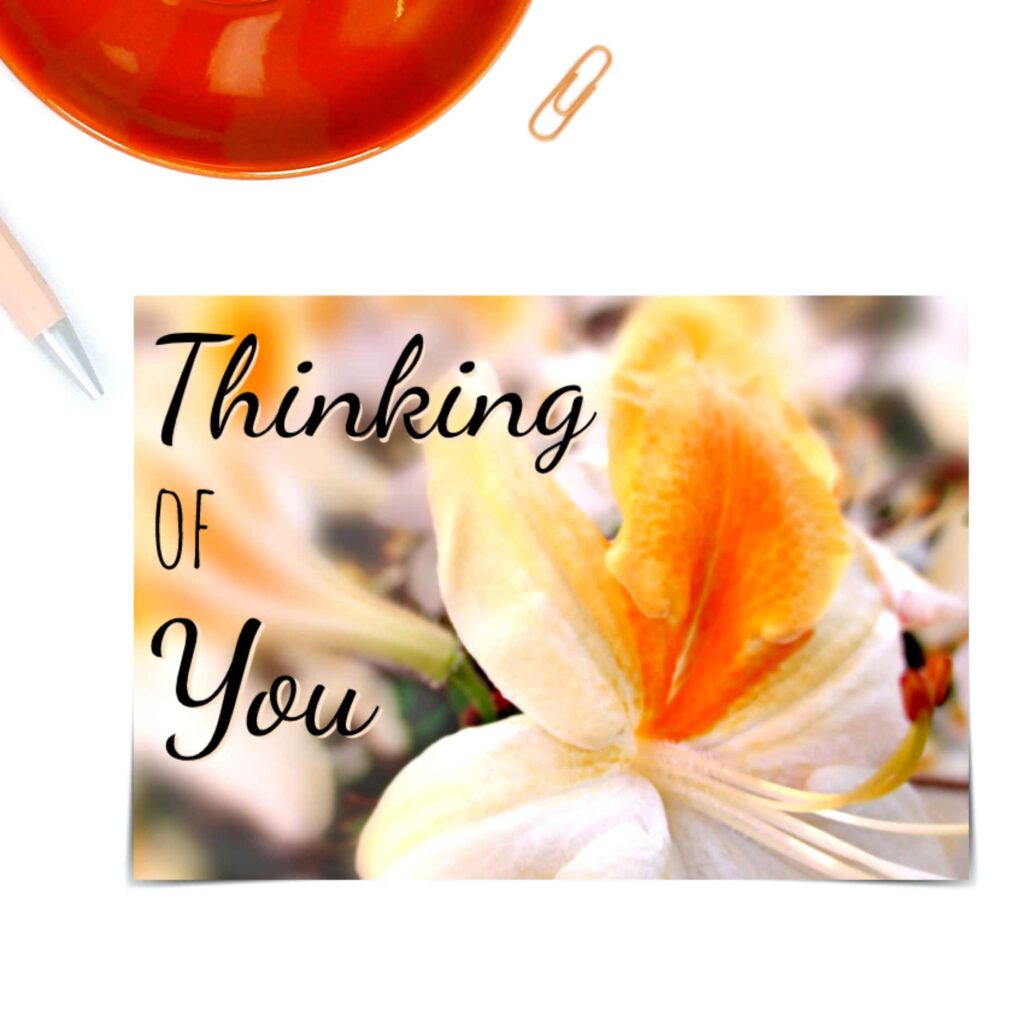 Cover image for Thinking of You Cards made by Cranky Bee Art