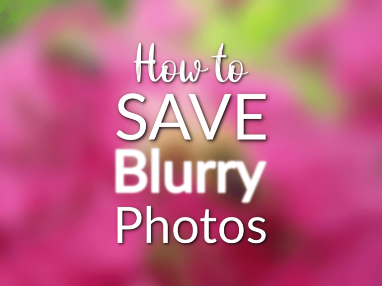 Cover photo for a blog article titled, "How to save blurry photos" showing a blurry photo of a bee on pink flowers