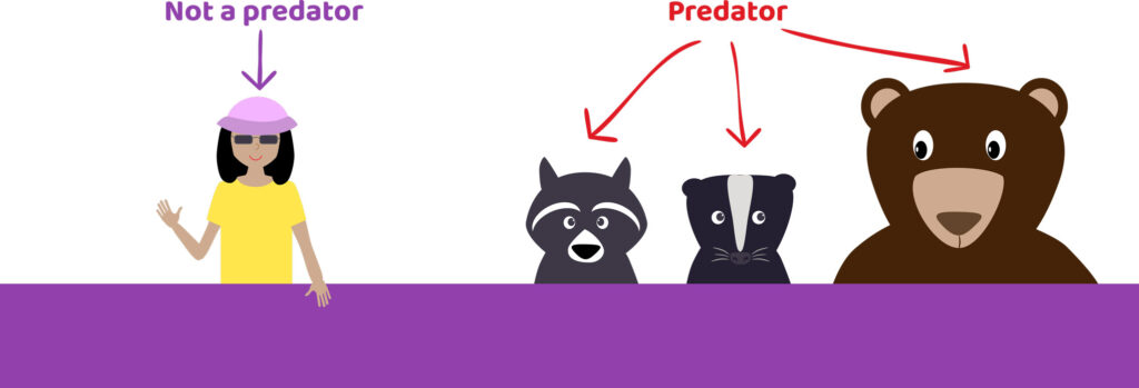 Image showing a human with a label of "not predator" compared to a raccoon, badger, and bear, all labelled "predator"