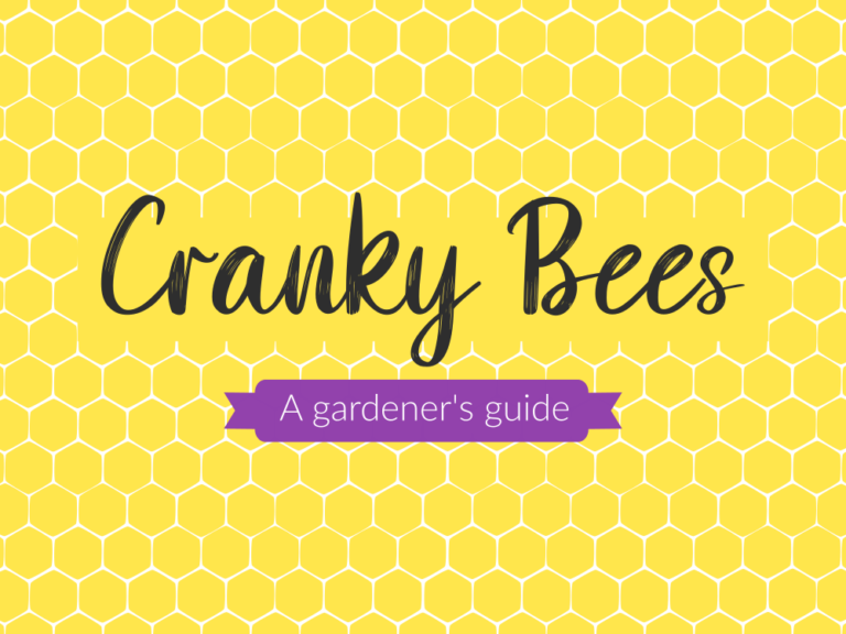 Yellow honeycomb background containing the text, "A Gardener's Guide to Cranky Bees"