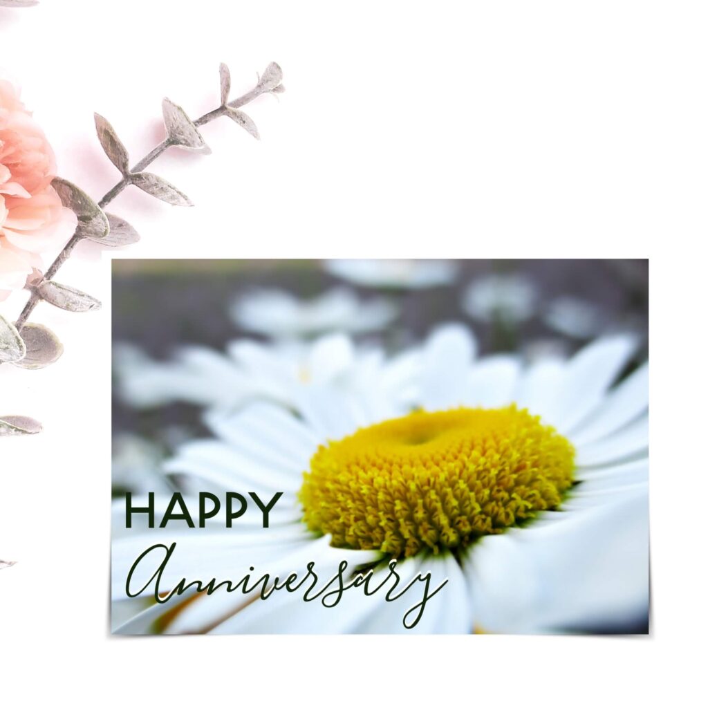 Cover photo for anniversary cards category showing a daisy with the words "Happy Anniversary"